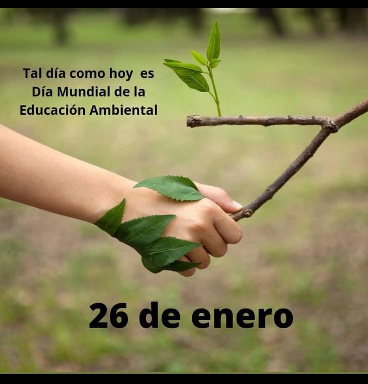 OLICOL's tweet photo. @naturaambiental @MailVerde @_CuidaTuPlaneta https://t.co/3LrNKbtyop