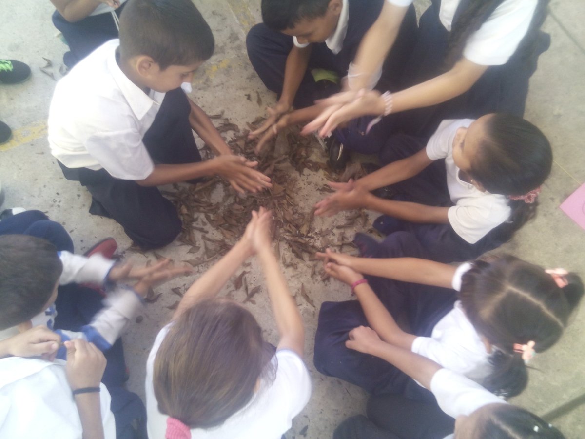 Día Mundial de la Educación Ambiental.