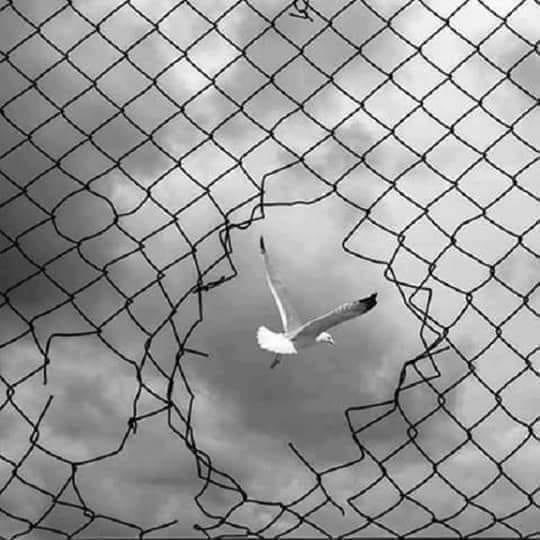 Nog een plek vrij zowel in de 8-dagse verdieping familieopstellingen als ook in de familieopstellingen voor kinderen en jongeren-specialisatie voor het voorjaar 2022. Neem jij die plek nog in? Wees welkom! 
dykstra-academy.nl