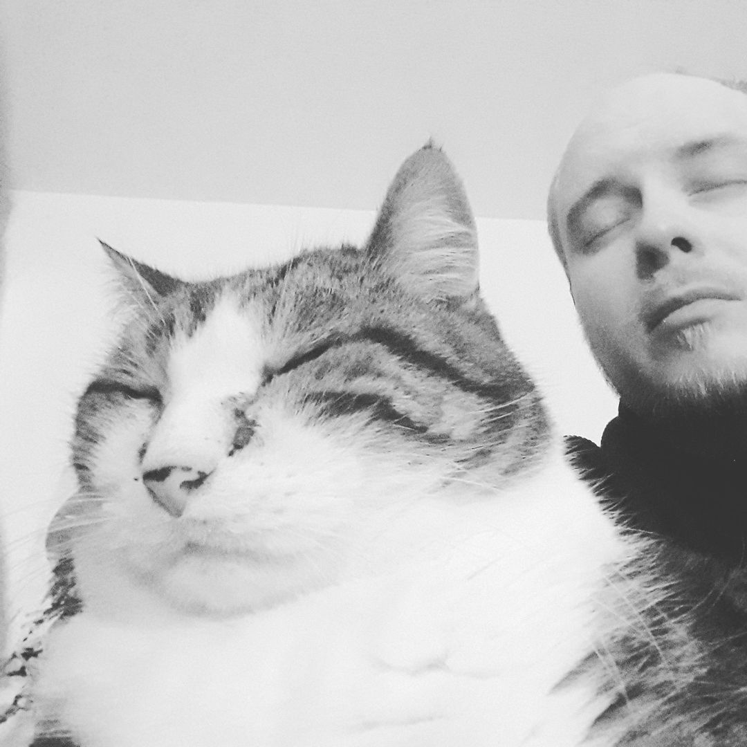 tentalier's tweet photo. Silly Chilly Boys on a day off. 🦑💜🥖
#catlover #catlovers #catoverlord #twitchstreamer #CatsOfTwitter https://t.co/2s6Yy20fWG