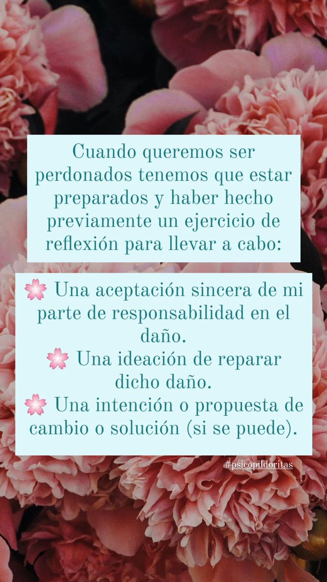 flordeciruelo_'s tweet photo. A raíz de un minihilo que escribí ayer en Twitter, he compartido estas stories en Instagram hablando sobre el #perdón espero que os ayude 🌸 https://t.co/H2DTEWy7c7