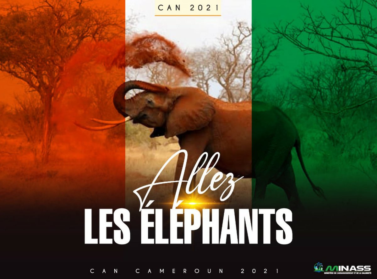 "On est godo  godo pour la vie"
 Ensemble  pour la victoire  de nos pachydermes! 
Éléphants  un jour ,Éléphants  toujours !
#CAN2021  
#MINASS