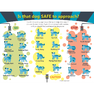 GoodDoginaBox's tweet image. Learn Dog Body Language - Free Poster with $50 purchase. Today only - mailchi.mp/gooddoginabox/…  #dog #dogbodylanguage #dogbiteprevention