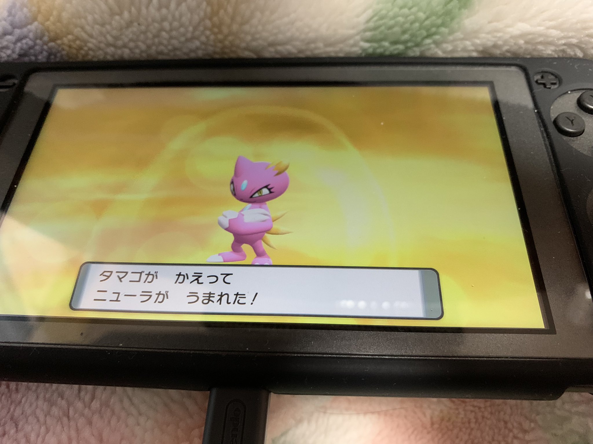 ハリー 2ndチャンネル開設 Hikaku333 マニューラはダイパ世代からの相棒なので5vにします 今まで使ったことのない型にしようと思ってます Twitter