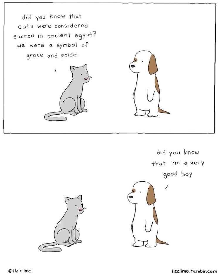 henleyvets's tweet photo. πΊβ€πΆ
#localveterinarypractice #henleyonthames #catsanddogs https://t.co/892yK2NbJv
