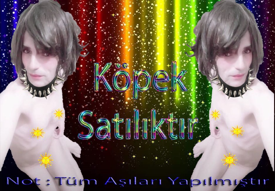 Dişileştirilmiş Tamamen Uysal Köpeğim Aşırı Havlamasından Ötürü Satılıktır. Alıcısına Şimdiden Hayırlı Olsun.