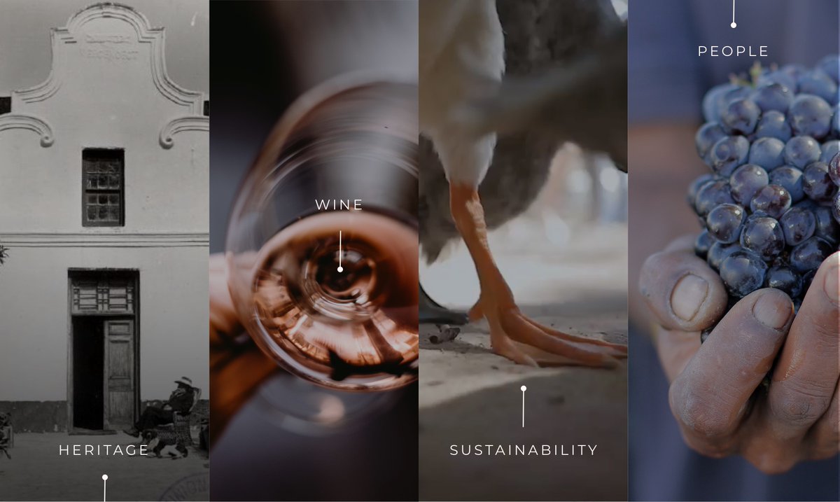 We balance generations of wine-making expertise &amp; sustainable practices with an unconventional way of seeing the world. It’s how we are able to create unique experiences and truly distinctive wines with a surprising and satisfying finish
Which of our foundations interests you?