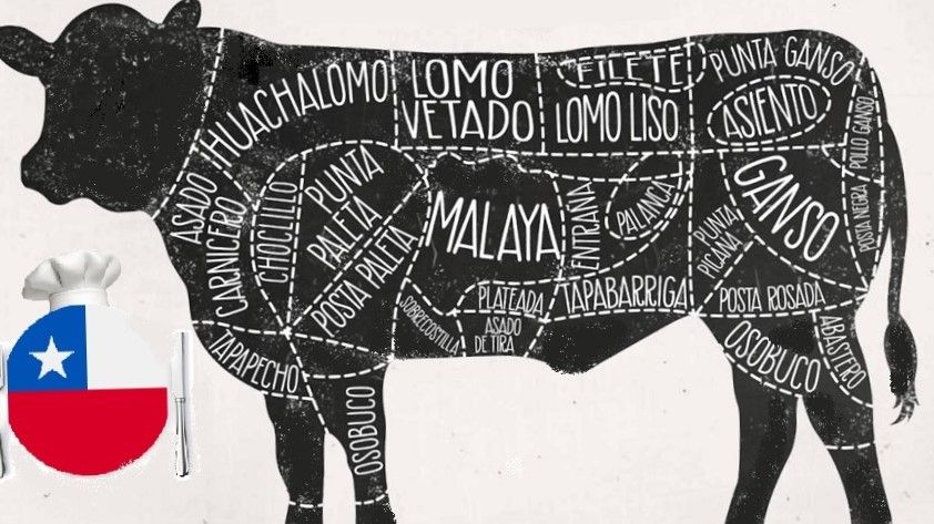 Nicte_Snape's tweet photo. Se acuerdan ayer de los cortes de carne, pues hoy les mostraremos sus nombres en diferentes latitudes.
 
Chile https://t.co/DaKOKEIqVd