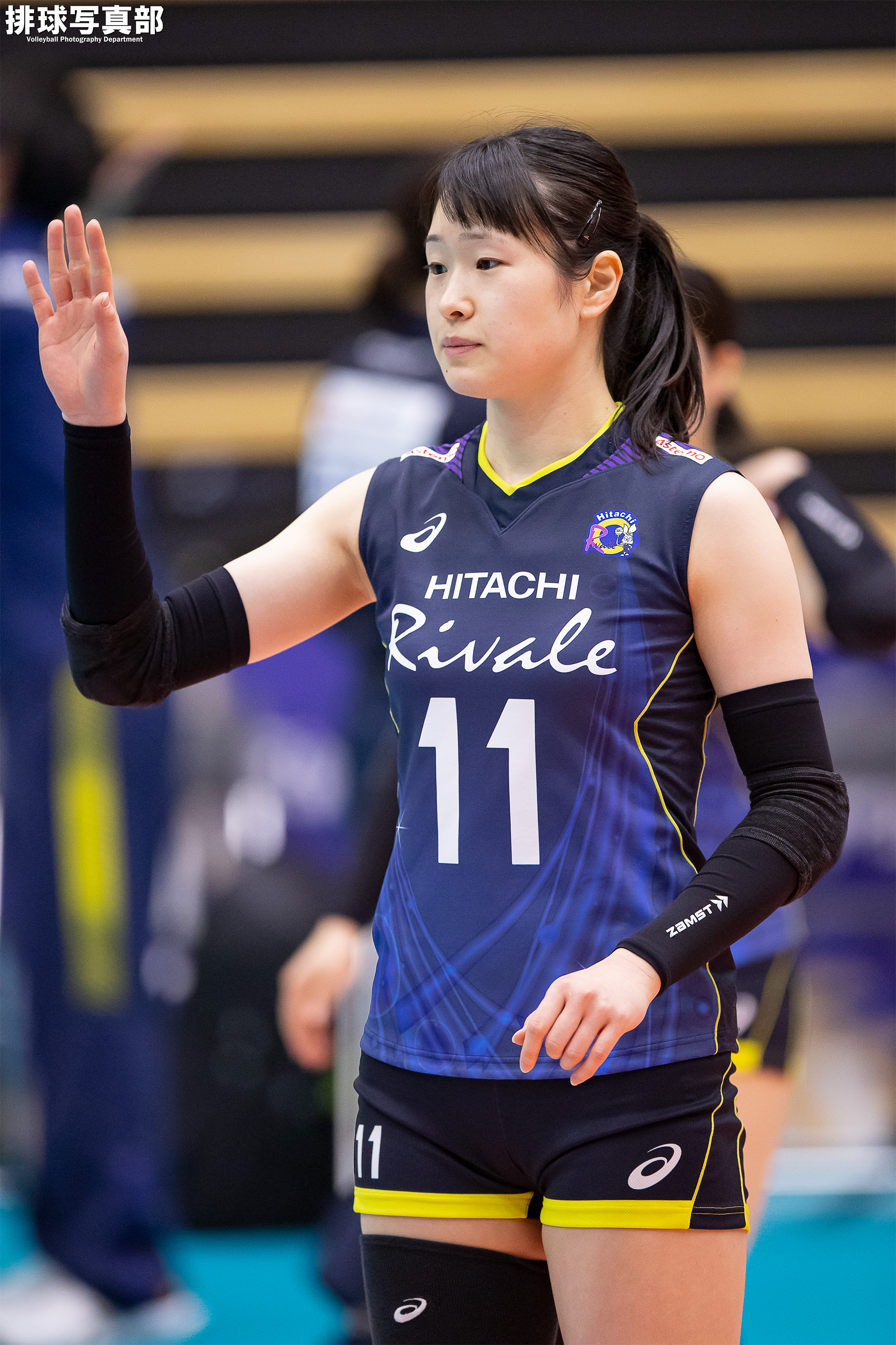 排球写真部 on X: 排球写真部 on X: