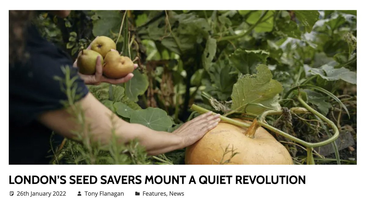 "#London seed savers mount a quiet revolution."

<a href="/GrowWithKG/">Kitchen Garden</a> -Britain's best selling specialist #fruit &amp; #veg growing magazine - has just published an article about our new film #AQuietRevolution!

Read the article and watch the film here:
kitchengarden.co.uk/londons-seed-s…

#SeedWeek