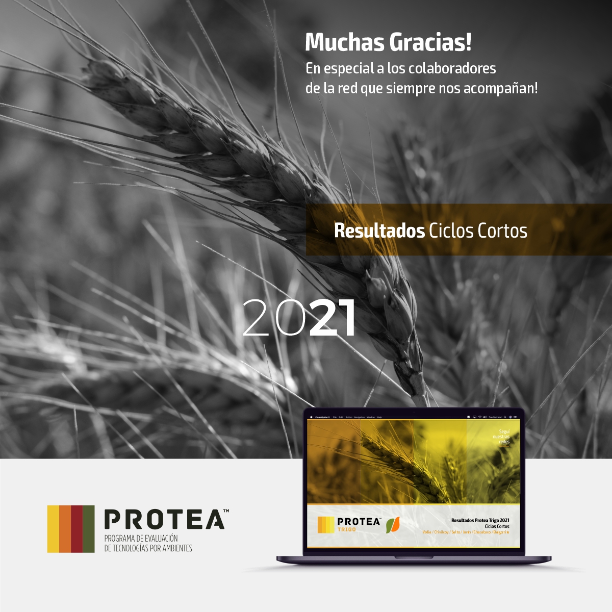 -
Resultados PROTEA #Trigo 2021 - Ciclos Cortos ✍️🌾
Para acceder al informe completo entrá el siguiente link:
🖥 dypagro.com.ar/desarrollo
👉 Contraseña: proteatrigo
Muchas gracias a todos los colaboradores de la red que nos acompañan
#PROTEA #Trigo #Resultados #CiclosCortos