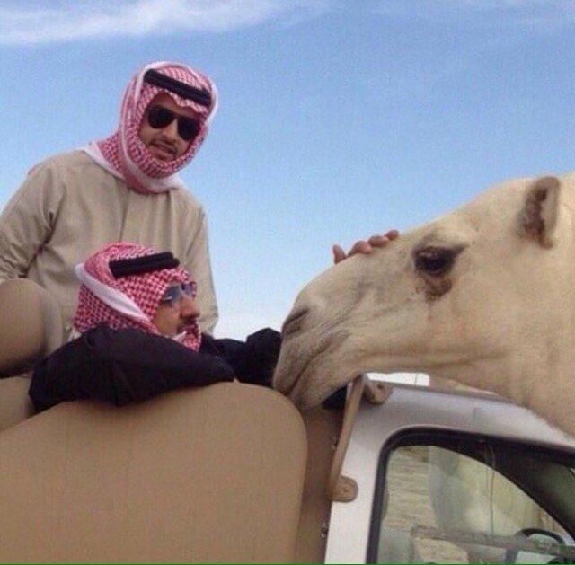 يا فرحة يعقوب بِيوسِف مُرِّي
بِكل محبي #محمد__بن_نايف