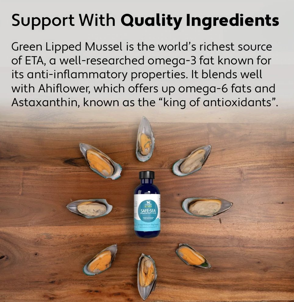 EssentiallyDogs's tweet image. Newsletter has Arrived - mailchi.mp/c9cb23714e75/1…