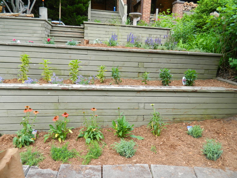 gardenmuses's tweet photo. "Tiered Front Garden Makeover in the Beach (A Mini-Rant and Case Study): Gardening Beyond Boxwoods, Hydrangeas, Yews.... "
https://t.co/pEWgdMwRAW
#thebeach #torontogardening #torontogardens #torontogardener #pauljunggardening #newgardendesign #gardeninstallation https://t.co/HIuULs8zKq