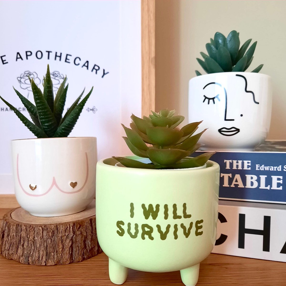 RevivalHomeFurn's tweet photo. Excited to share the latest addition to my #etsy shop: Mini Planter and Faux Succulent Set  #white #bohemianeclectic #cuteminiplanters #valentinesday #housewarming #green #miniatureplantpots #plantstand #quirkygiftideas https://t.co/SiadRdfZGX https://t.co/71yVQ8hkPz