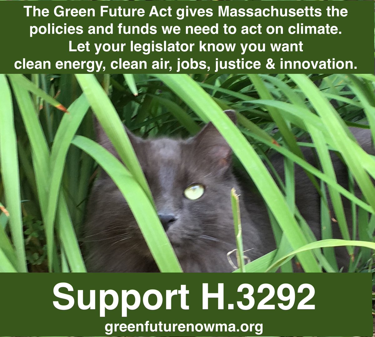 EllieG_HK's tweet photo. The Green Future Act puts a price on pollution to give MA towns sustained funding for local projects. Support H.3292 @_ClimateXChange @GreenFutureNow @MOF_MA  #GreenFutureAct #RealClimateSolutions #EJ4MA #PublicHealth #ActOnClimate https://t.co/489YROBwcS