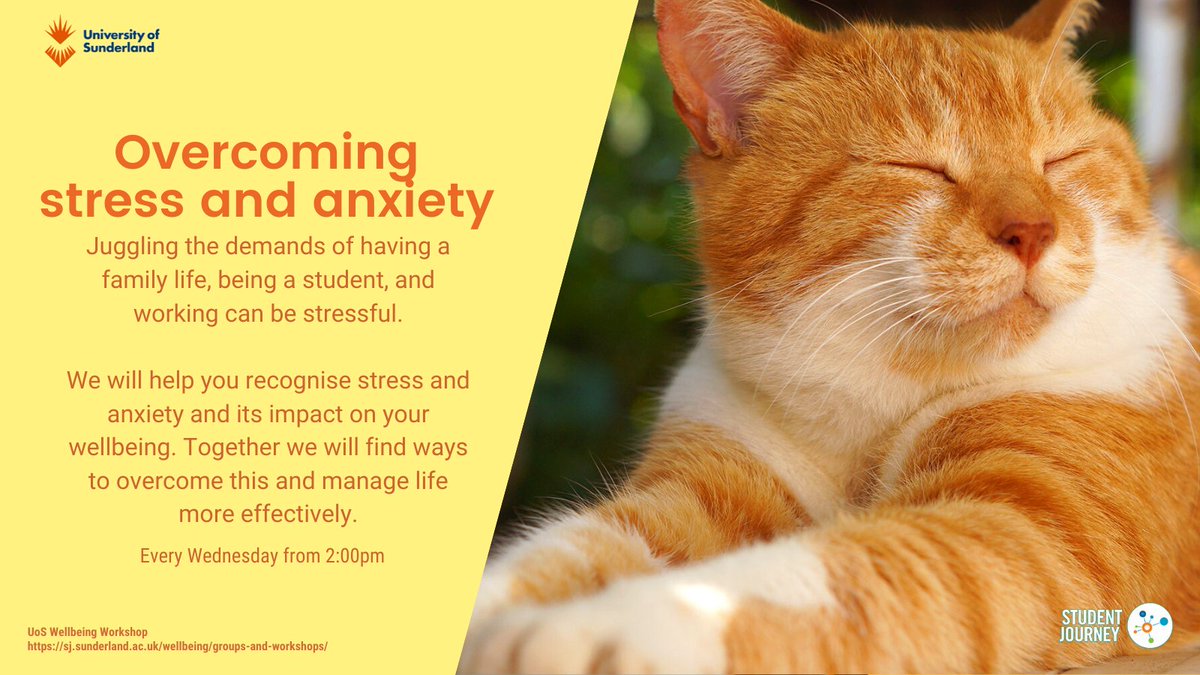 Every Wednesday from 2:00pm we run the 'Overcoming Stress and Anxiety' Workshop for students. 

Come along and together we will find ways to overcome this and manage life more effectively😊
To register your interest, contact the team at wellbeing@sunderland.ac.uk