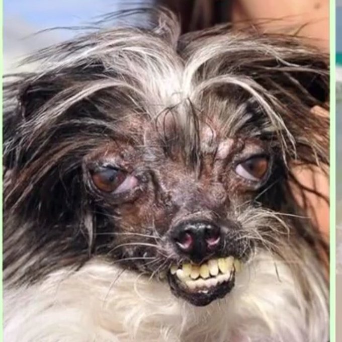 #NuevaFotoDePerfil https://t.co/hQGjsYBmST<a href="/tag/nuevafotodeperfil"class="tags">#NuevaFotoDePerfil</a>