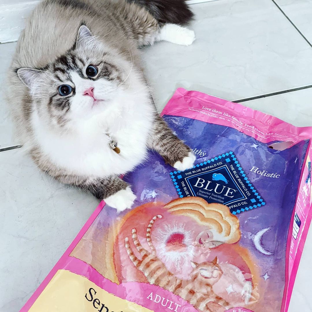 blue buffalo trainer kit