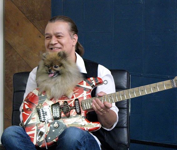 Happy birthday Eddie Van Halen 