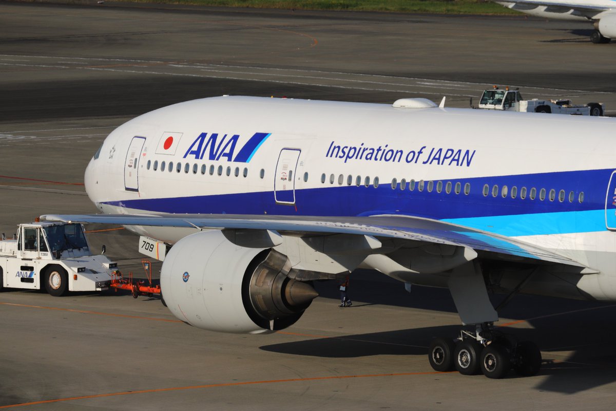 music_manxRush's tweet photo. ほんの少し前に福岡空港で撮影したJA709Aが退役したことをフォロワーさんのツイートで知りました!
なかなか撮影することが出来なかった機体でした
また羽田での会えると思っていただけに寂しいです...
お疲れ様でした!!
#JA709A
#飛行機好きな人と繋がりたい
#写真好きな人と繋がりたい https://t.co/xru2l4BrID