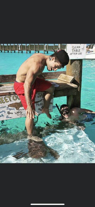 5 years ago! Shark surfing. https://t.co/HarZK1aptW<a href="/tag/theswords"class="tags"><span>#theswords</span></a>