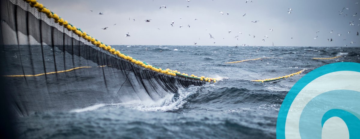 sea_token's tweet photo. Want to learn more about bycatch, the seafood industry, or taking a #FishFreeFebruary pledge? Send us your questions for Simon Hilbourne, our AMA #25 guest. Top 5 questions win $20 worth of $SEA! Find more details about AMA #25 & bycatch on our blog. https://t.co/BebmwZX1T5