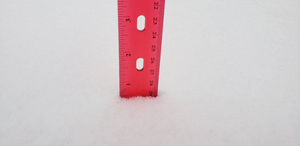 AMWWX's tweet image. Measured exactly 0.5" snow at 8am with mesoscale band bringing at least 1"/hr rates. #phwx #txwx @NWSAmarillo