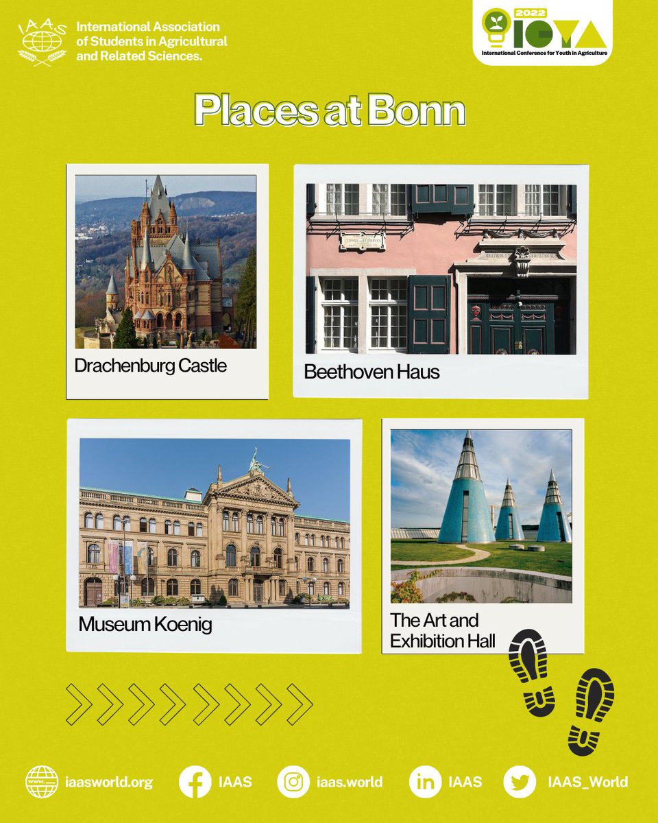 IAAS_World's tweet photo. Hello FamilIAAS!

As the previous capital of West Germany, the city of Bonn has a lot of remarkable places to visit with also beautiful history waiting for you to discover it yourself. Double your experience by joining ICYA offline conference at Bonn, Germany!
(cont.) https://t.co/AxBPAW3uGr