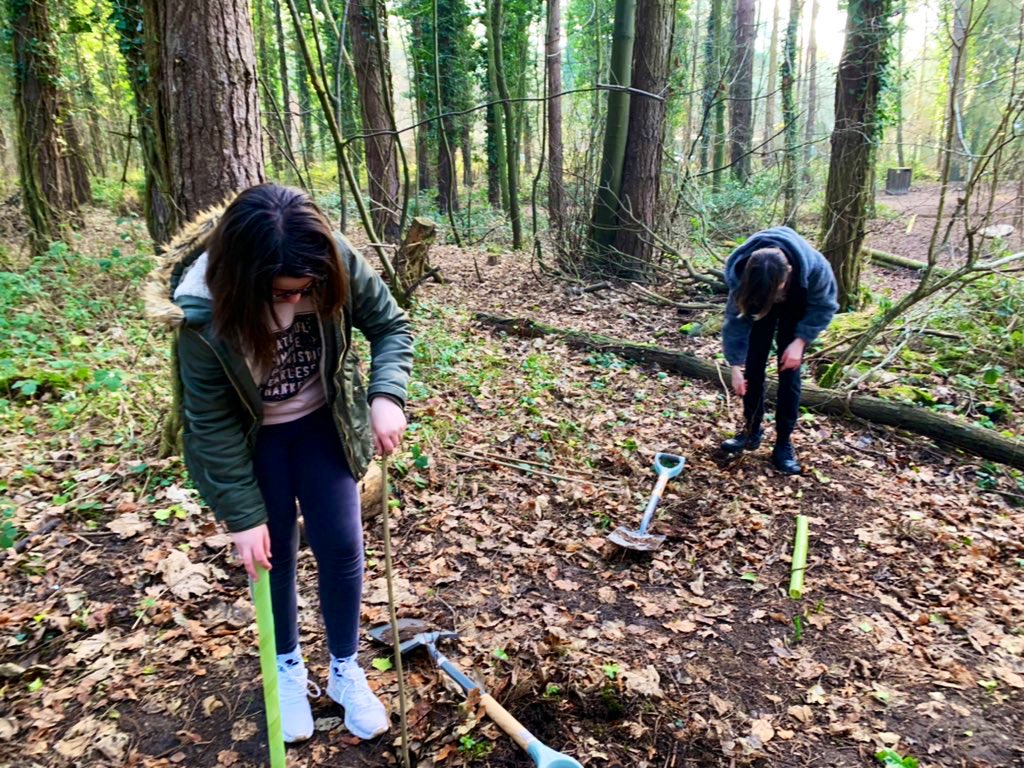 AcademyCromer's tweet photo. Our enrichment Eco Club had an incredibly rewarding morning assisting @NorthNorfolkDC Park Rangers planting native trees @CountryHolt. #EcoSystem #biodiversity #trees #nature #Outdoors #WellbeingWednesday @EcoSchools https://t.co/5uMOhlZ5JM