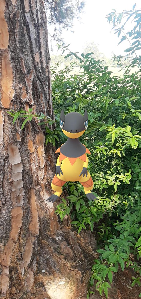 marinaferrari_'s tweet photo. Buddy in the real wild 😜
#PoGO #SnapshotGO #Pokemon #PokemonGO https://t.co/xL6HdeRaCx