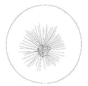 MARQUES=IP tweet media