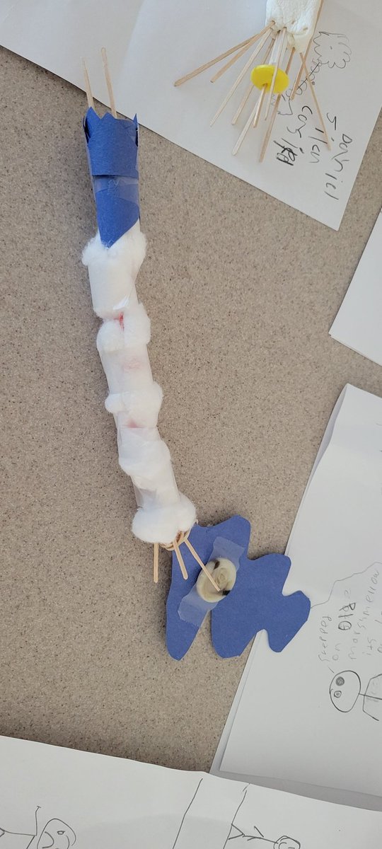 SCIENCEwithKedz's tweet photo. 6th grade scientists making storyboards and neuron models, as they prepare to film a stop motion animation showing how signals travel through the nervous system.
@PagePanthers #wearelamphere https://t.co/9VnseKKaHb