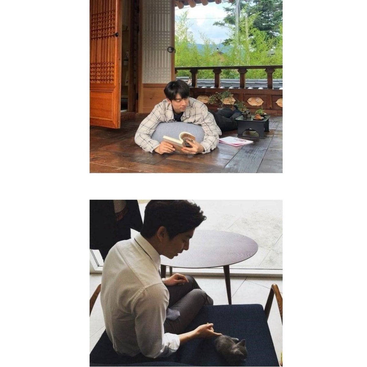 gongyoothailand's tweet photo. GONG YOO's instagram update
วันที่ : 2022.01.26

แคปชั่น :  "สิ่งที่คิด กับ ความเป็นจริง" 
คำบรรยายบนภาพ : 
1. instagram feed ของกงยูที่เราคาดหวัง (สิ่งที่คิด)
2. Gong yoo's feed (ความจริง)

ที่มา  : gongyoo_official
ลิ้งค์ : https://t.co/rDRQRp70N9

#gongyoo #공유 #กงยู https://t.co/ZxX0Jx4nBH
