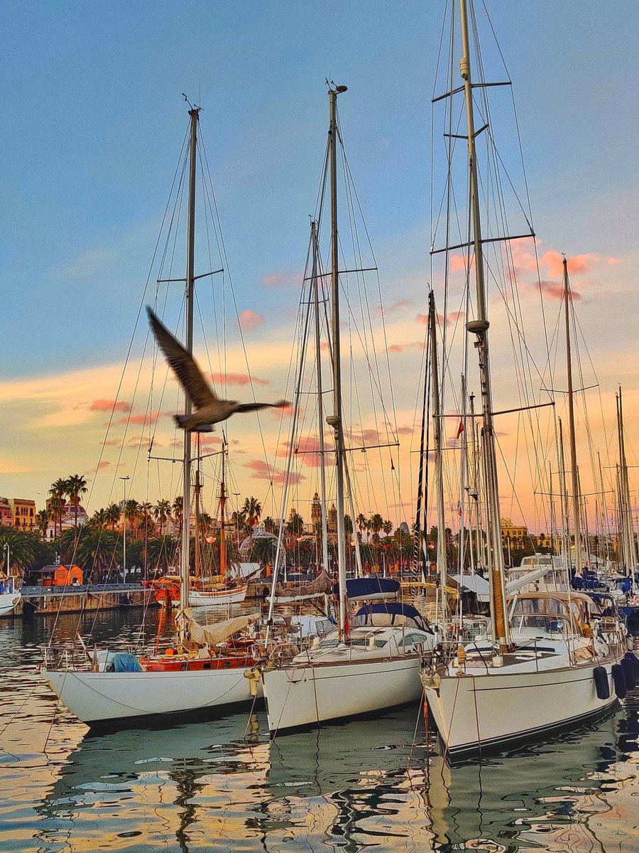 T01DCᵍᵐ tweet media