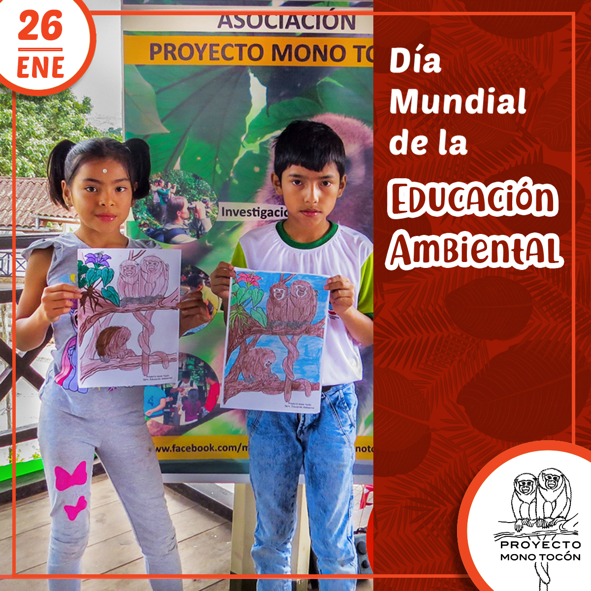 PROYECTO MONO TOCÓN tweet media