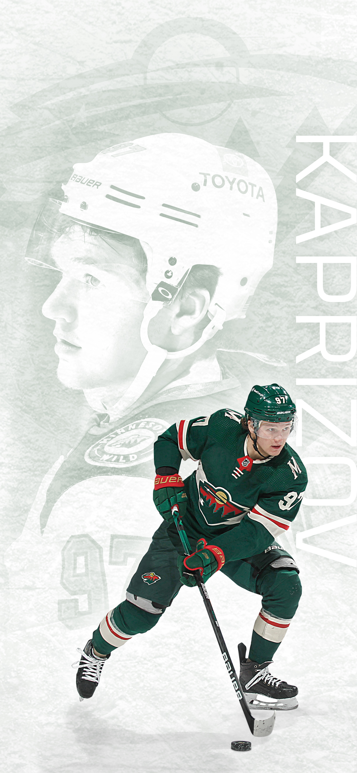 mn wild desktop