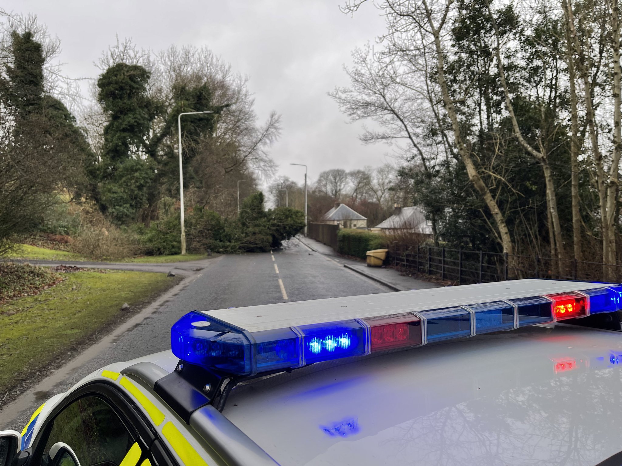 South West Fife Police on Twitter "A fairly sizeable tree collapsed at
