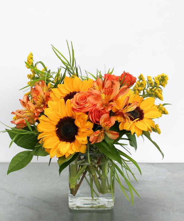 Eastern Floral tweet media