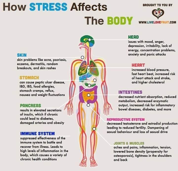 TWellnessAcu's tweet photo. https://t.co/RmrU6O7RDe