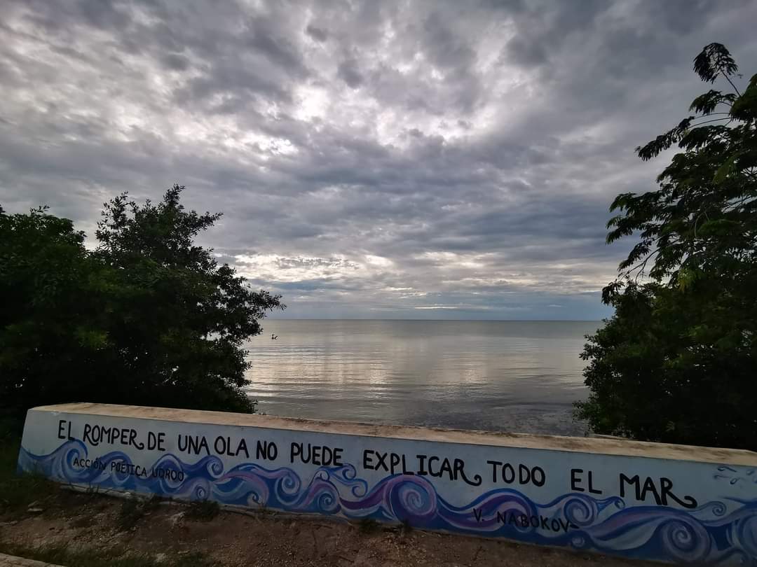 Excelente día paisan@s 🌞 🏃‍♂️