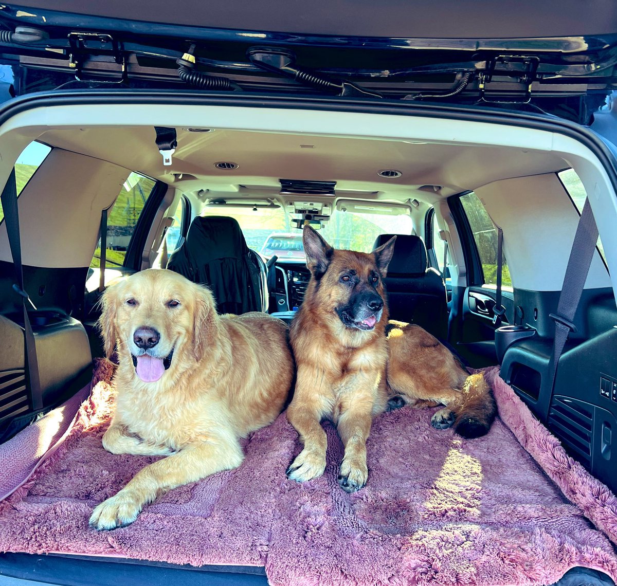 KatZimpel86's tweet photo. We go Miami —> N GA ( Hiawassee) Hyper n Chaine @GoodDayAtlanta @FOX5Atlanta #escalade #ride https://t.co/KzQnI8BXdw
