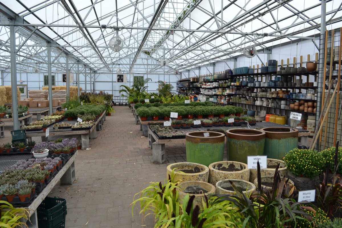Setting up your #retail space to help improve the flow of customer foot traffic has always been important—but over the past few years, its become crucial to give shoppers the space they need to browse &amp; stay safe: rimolgreenhouses.com/blog/perfect-y…

#gardencenter #retaillocation #storetips