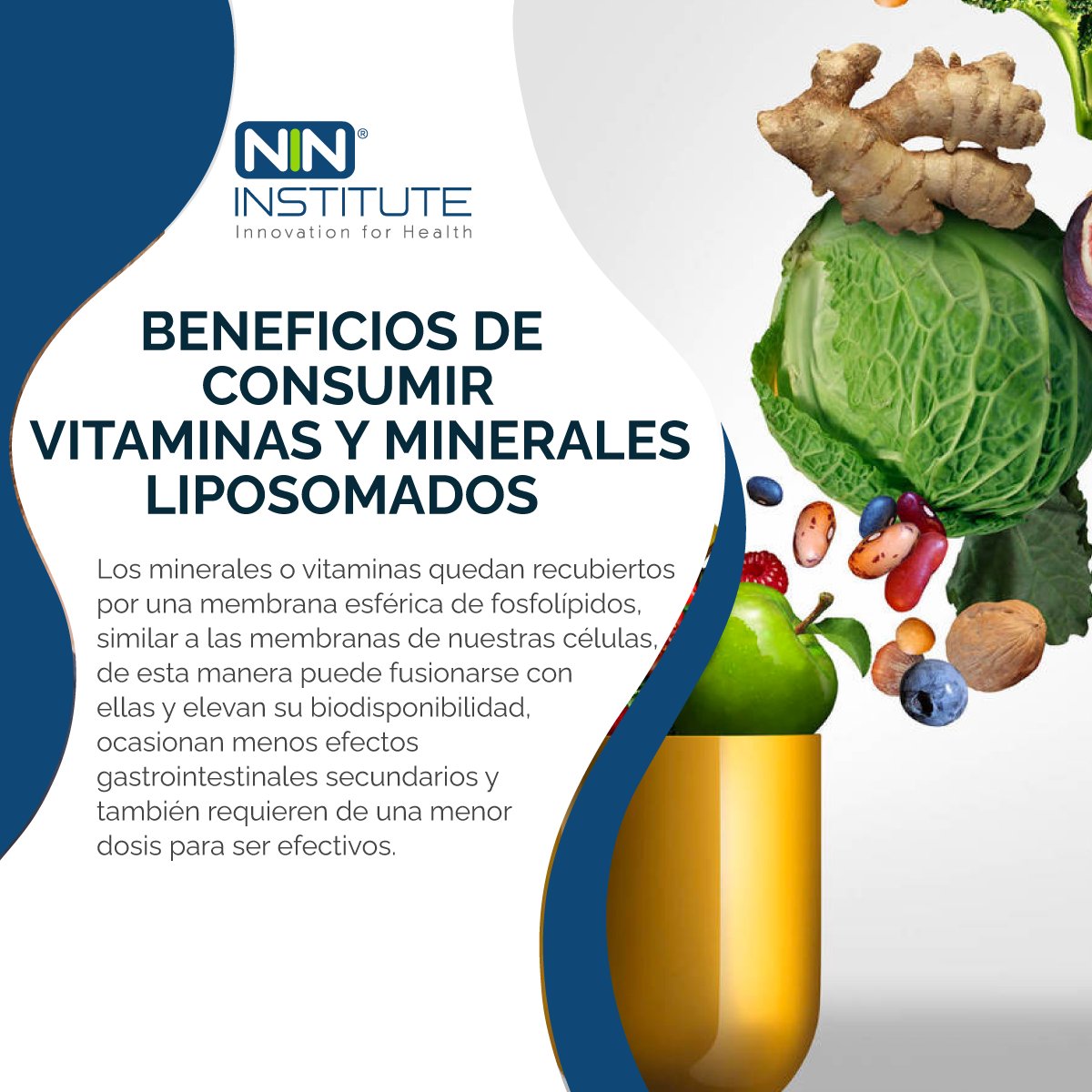 Los micronutrientes como hierro, ácido fólico u otros son introducidos en el interior de un liposoma mediante un proceso tecnológico de vanguardia.  

#NinInstitute  #InnovationForHealth #ProyectosNiN