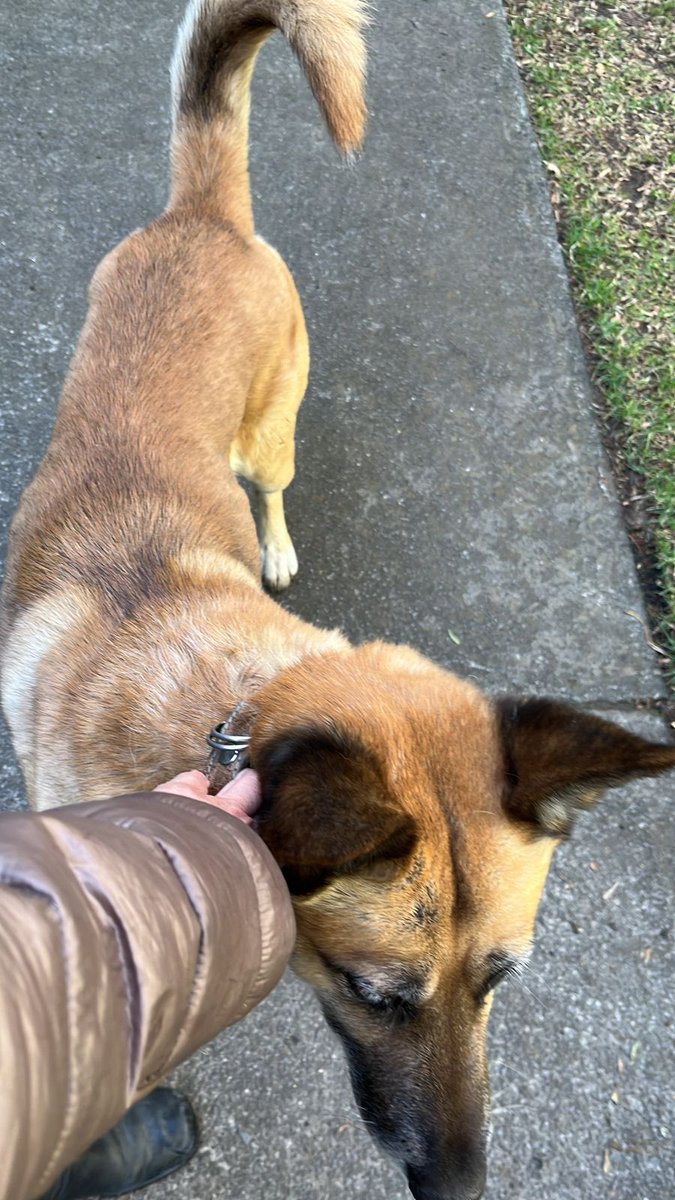 Lomas Virreyes tweet media