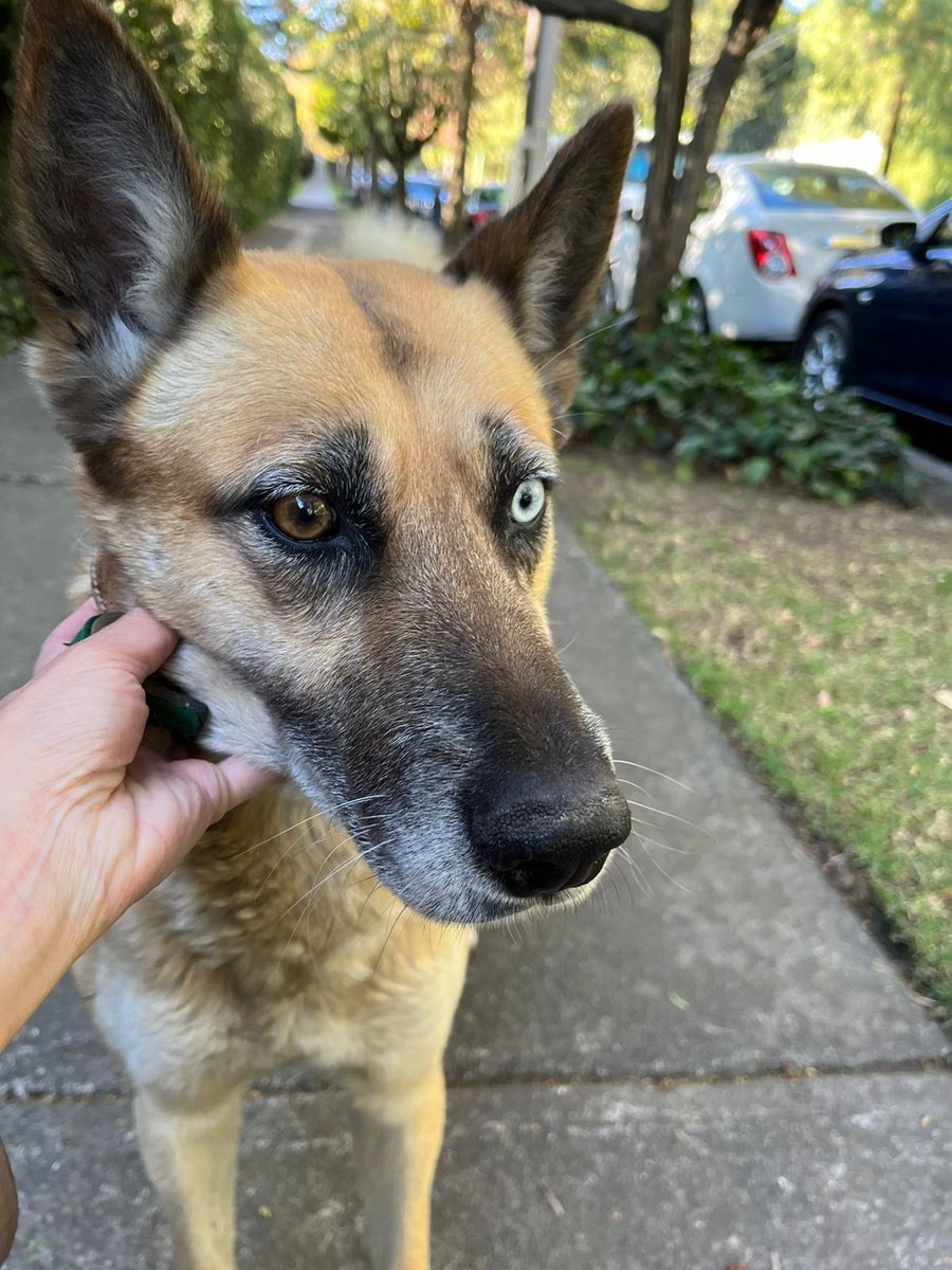 Lomas Virreyes tweet media