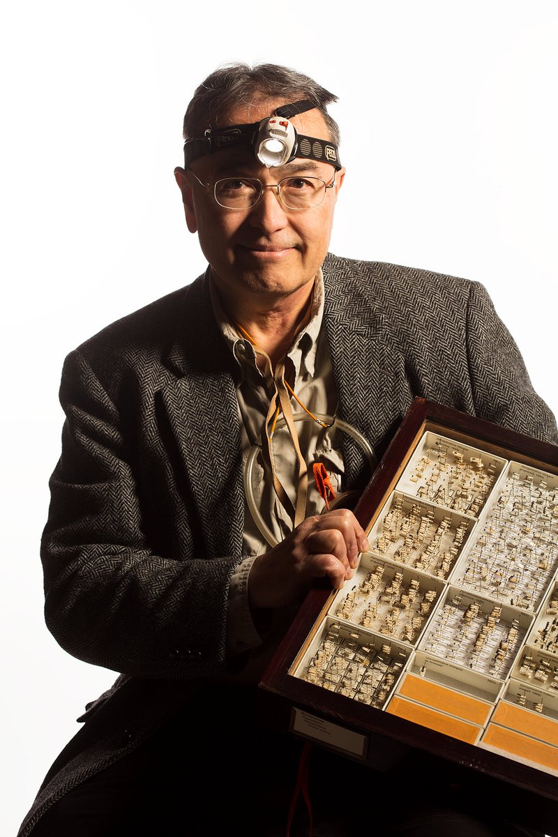 NMNH's tweet image. Congratulations to Smithsonian Research Entomologist Ted R. Schultz for being elevated to the rank of #AAASFellow by the @aaas! 

This distinction is among the highest in the scientific community.