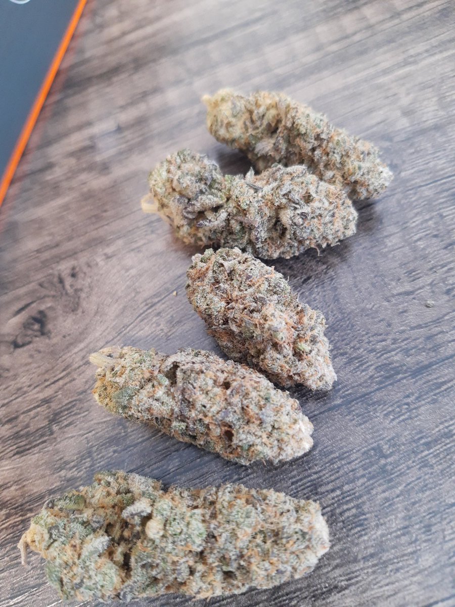 For people wondering if <a href="/MendoMedical/">Mendo Medical</a> offerings are fire, here is their Vanilla Frosting Tops. Smell is divine. White ash. The Caryophylene and the Humulene mixing into this thick flavorful bouquet on your palate. Leaves you on a cloud. A happy cloud ☁️ 9.5/10