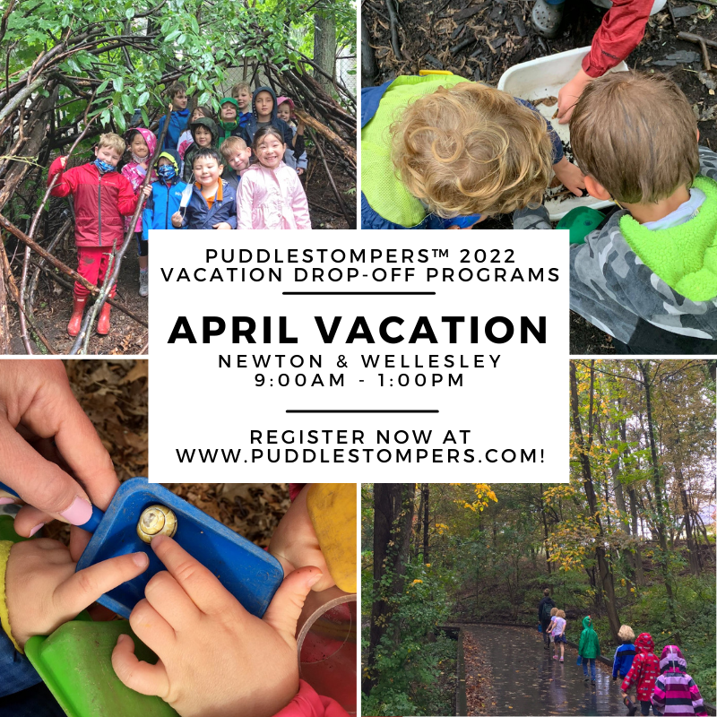 PSNE_Inc's tweet photo. Registration NOW OPEN for our April Vacation Drop-Off Programs in Newton &amp; Wellesley! Sign up today for lots of spring-themed exploration, games, crafts, &amp; so much more! https://t.co/XBvFo2Uoyy https://t.co/77I0ZSCUxk