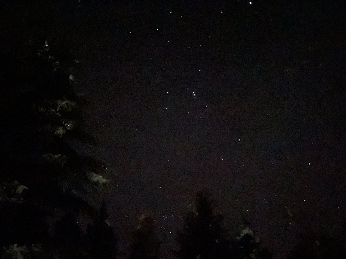 Tinchocobe's tweet photo. El cielo de Bariloche nocturno, para quedarse horas mirando. @vickyulf sé que a vos te gusta!! @bariloche @Bariloche_ar https://t.co/Os0aYr6DGX